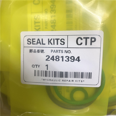 2481394 قطعات کیت انژکتور 3406E C15 ACERT Fuel Injector O Ring Kit
